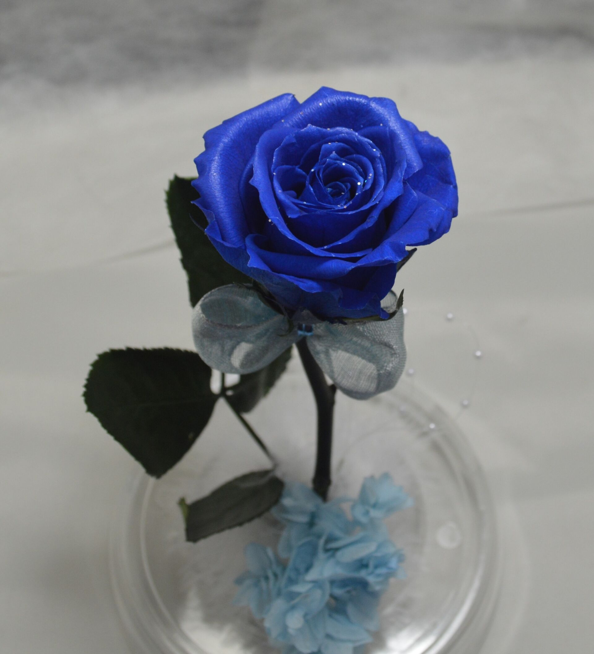 DSC_0692_R